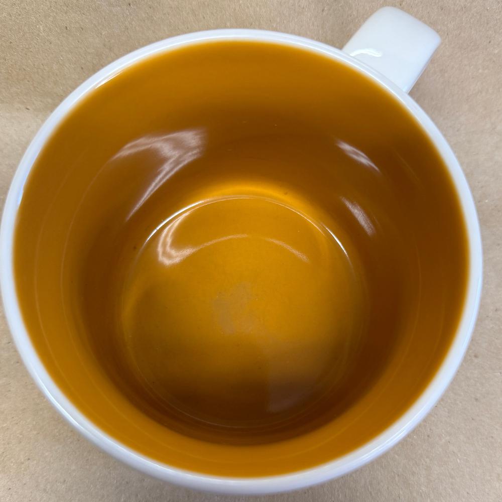 Starbucks You Are Here Series Arizona Mug-2013